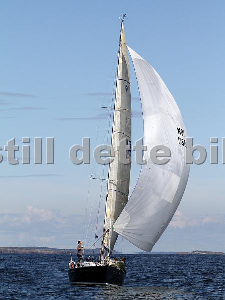 ORCi2 619.jpg